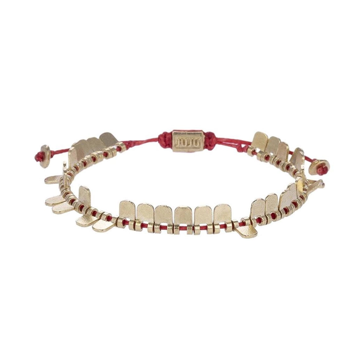 Visschubben armband